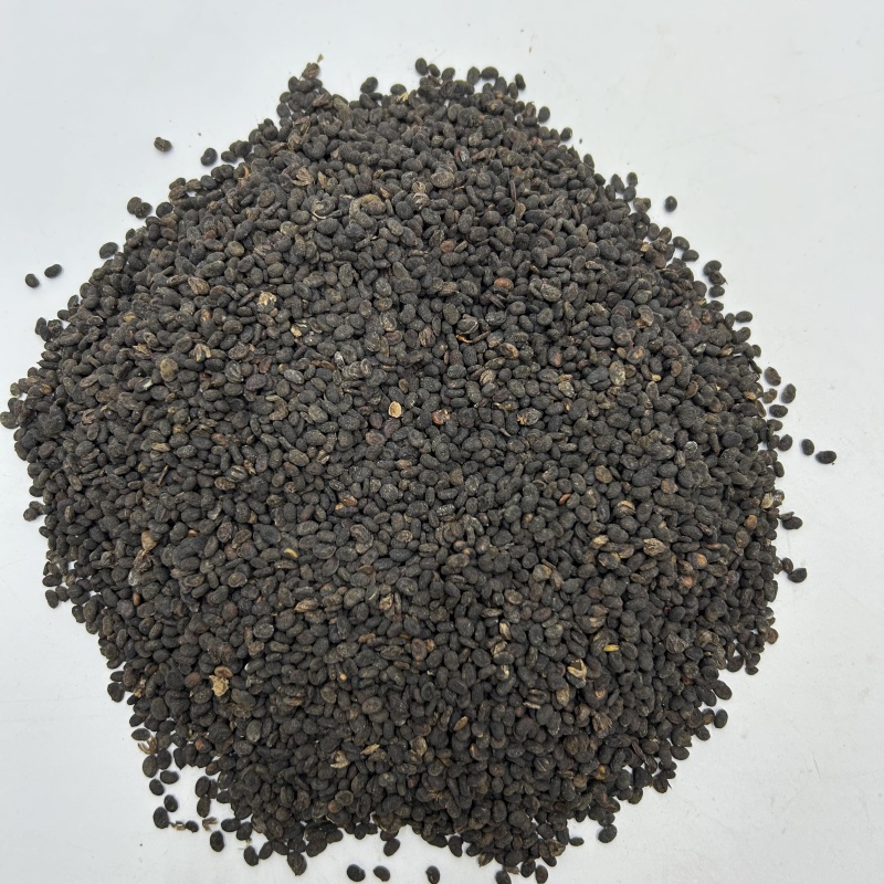 四川补骨脂破骨脂新货散装统货中药材批发大量批发各种规格齐