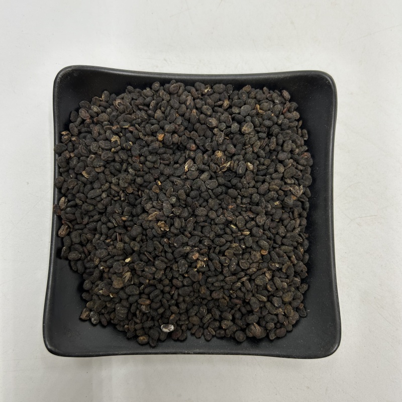 四川补骨脂破骨脂新货散装统货中药材批发大量批发各种规格齐