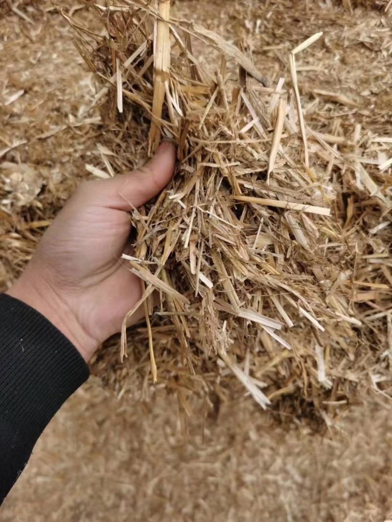 牛羊草料