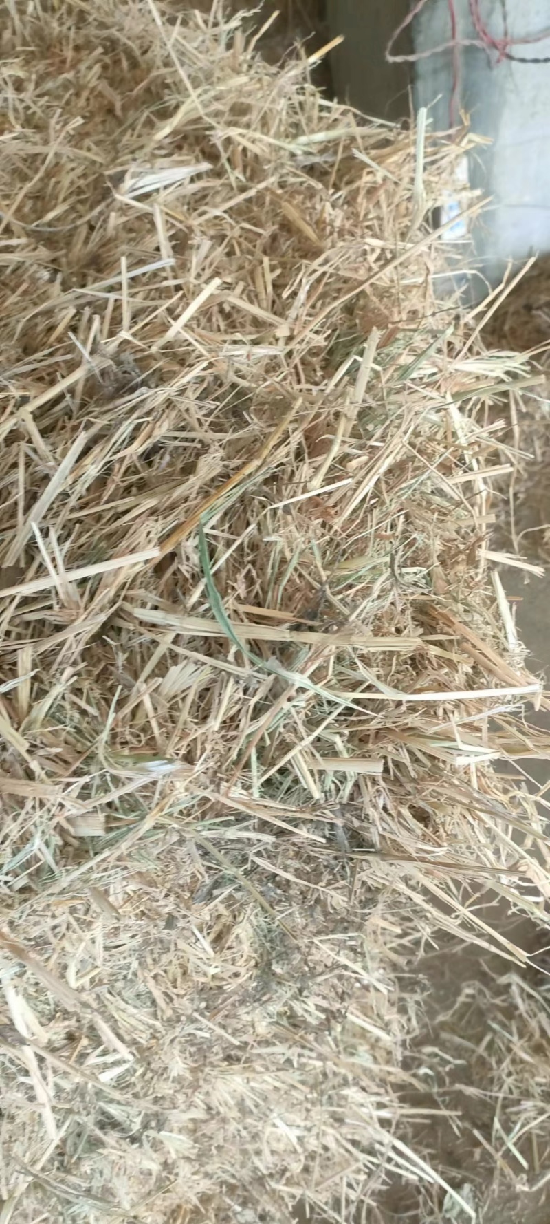 牛羊草料