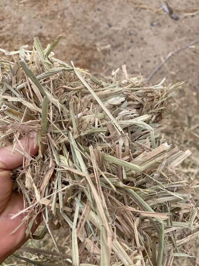 牛羊草料