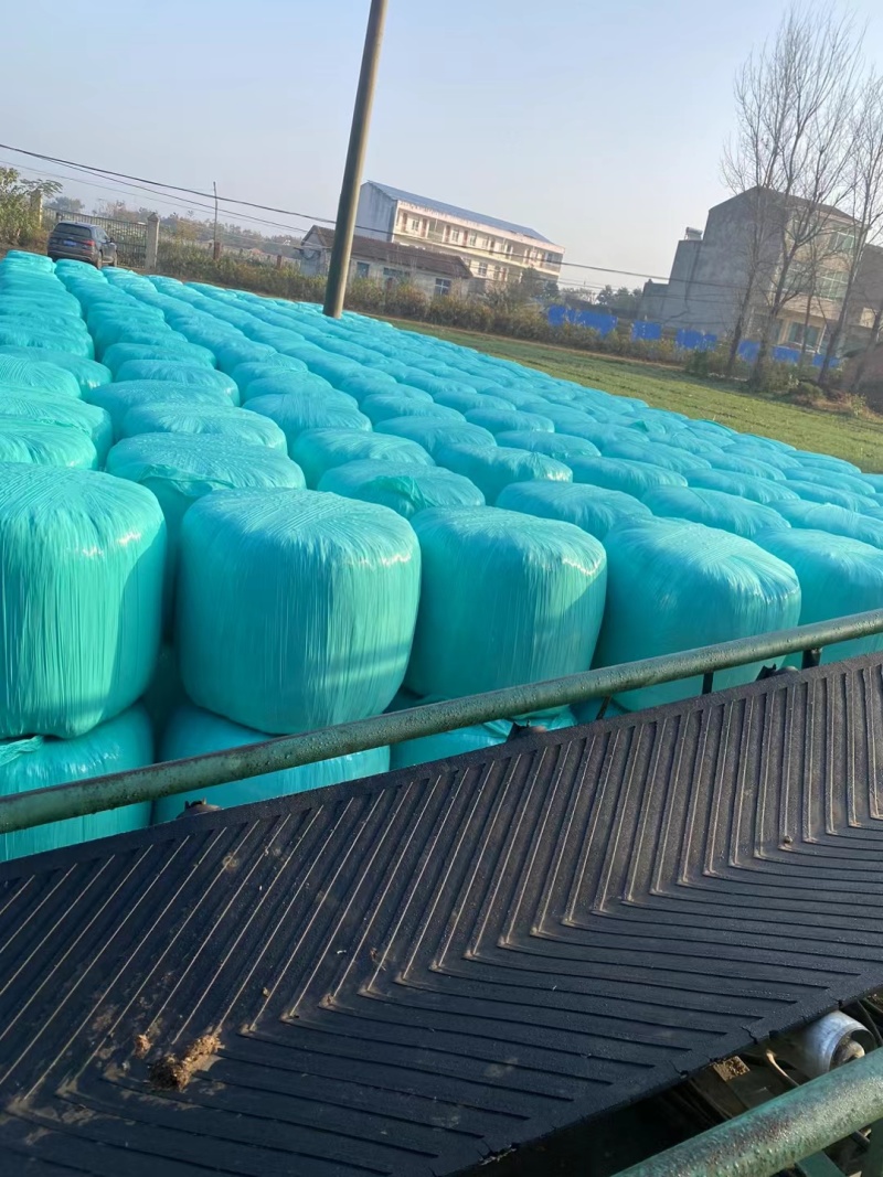 牛羊草料