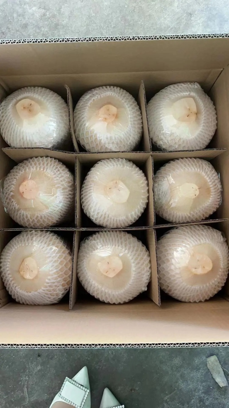 【精品】海南椰子椰青产地一手货源可视频看货全国走货