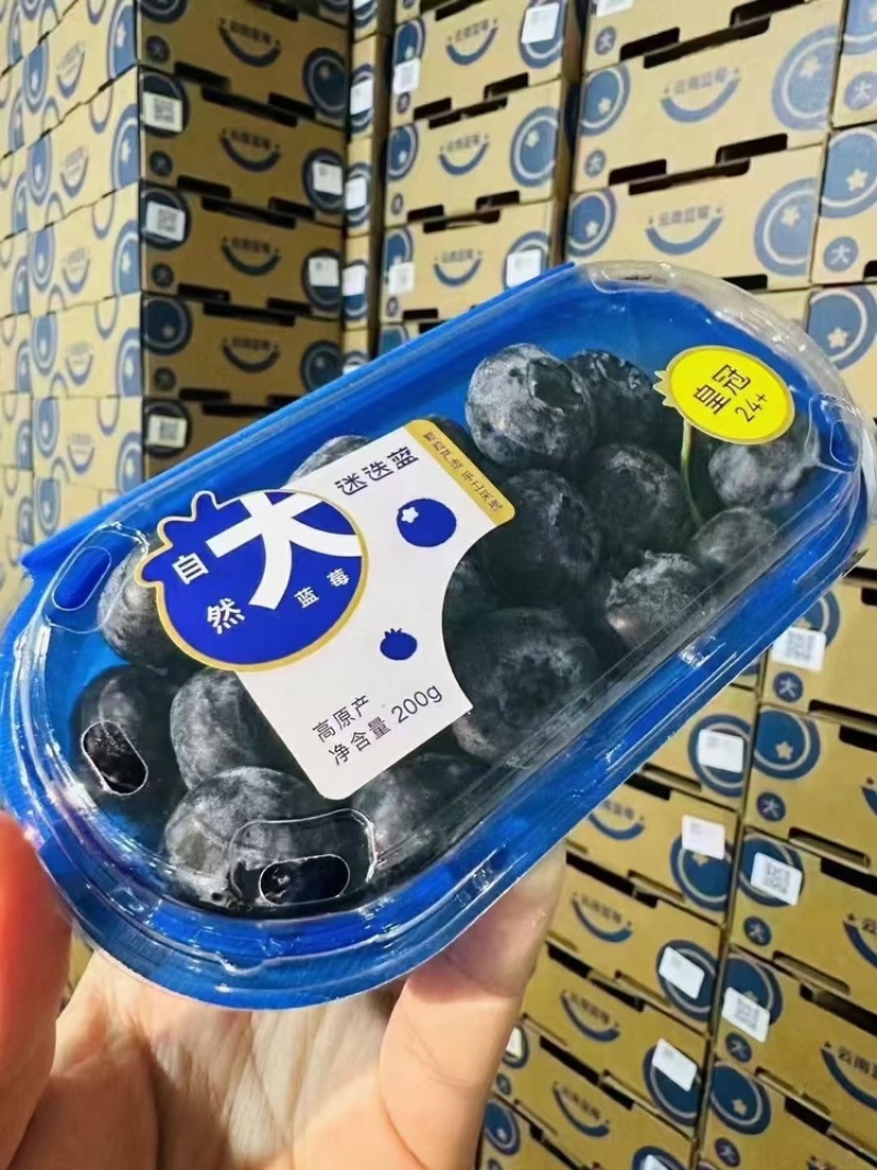 诺普信（光筑农业）皇冠👑24➕超大果