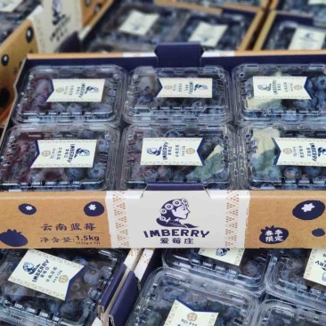 诺普信（光筑农业）爱莓庄高端品牌，欢迎对接