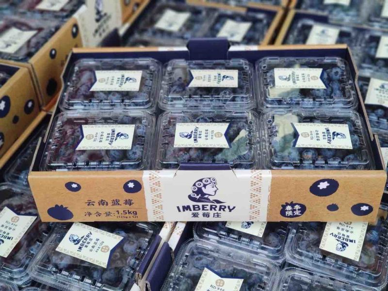 诺普信（光筑农业）爱莓庄高端品牌，欢迎对接