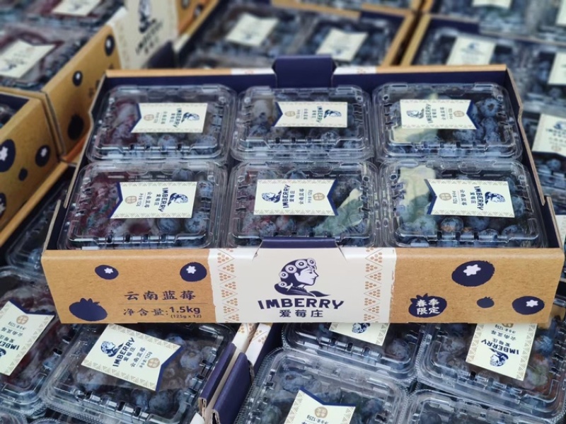 诺普信（光筑农业）爱莓庄高端品牌，欢迎对接