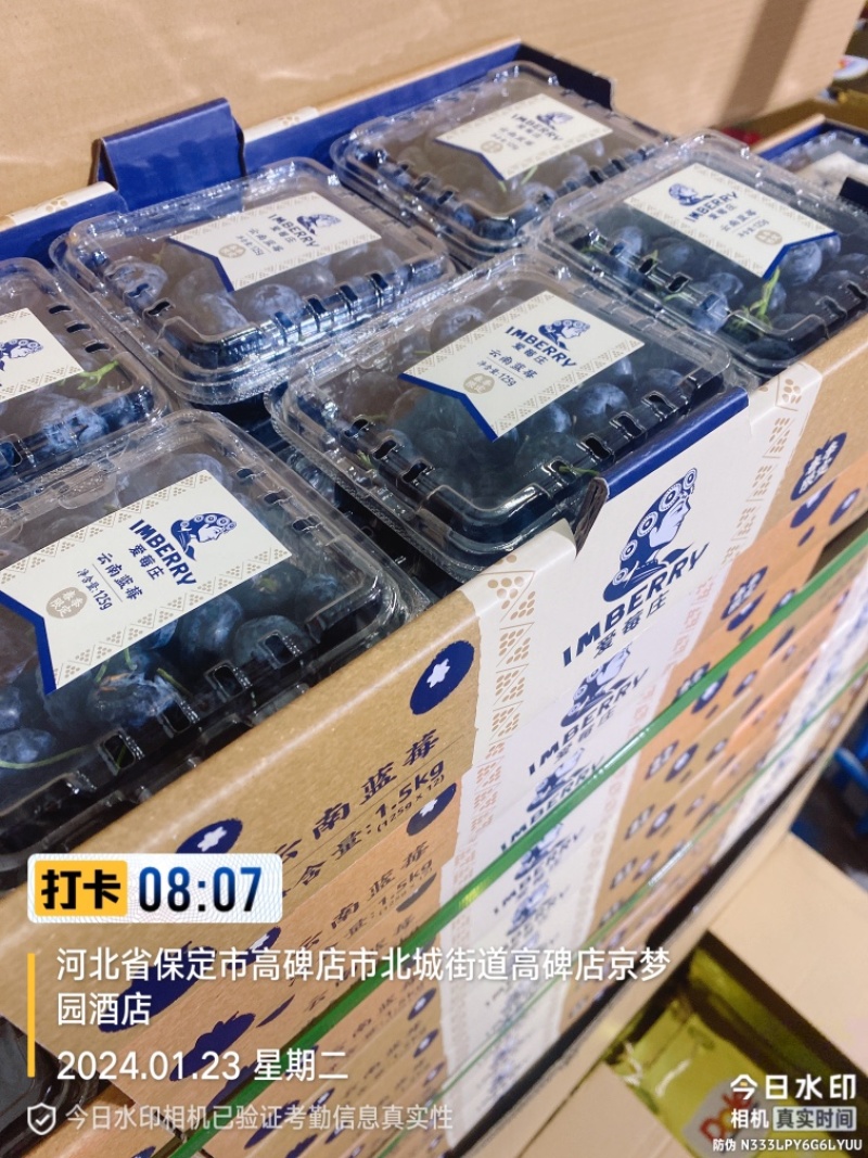 诺普信（光筑农业）爱莓庄高端品牌，欢迎对接