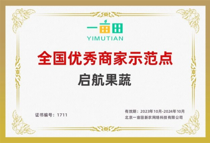 长虹脐橙/纯甜无渣果肉细腻/皮薄汁多颜色火红/产地直发