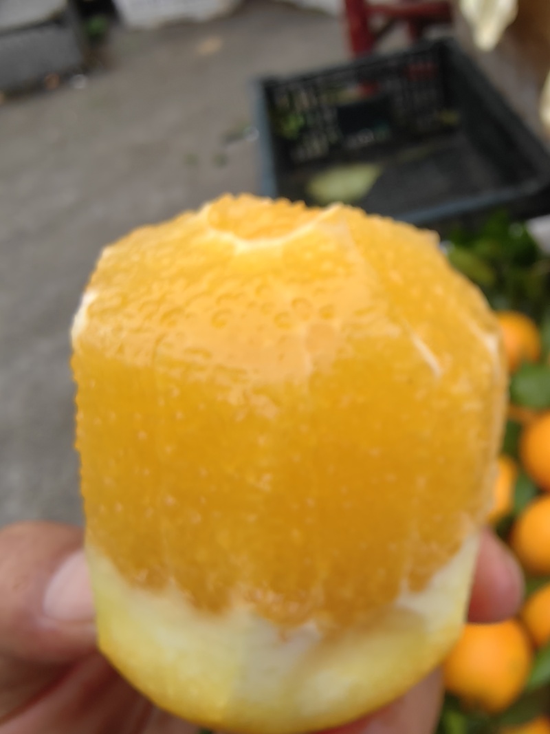 长虹脐橙/纯甜无渣果肉细腻/皮薄汁多颜色火红/产地直发