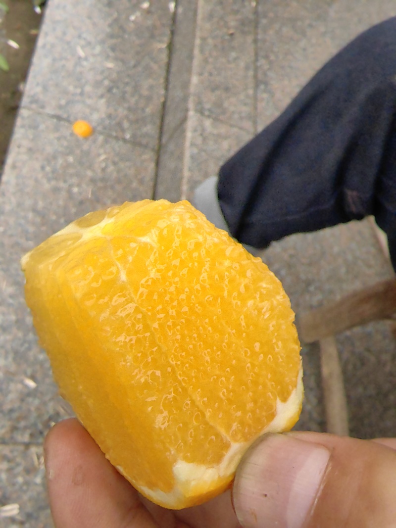 长虹脐橙/纯甜无渣果肉细腻/皮薄汁多颜色火红/产地直发