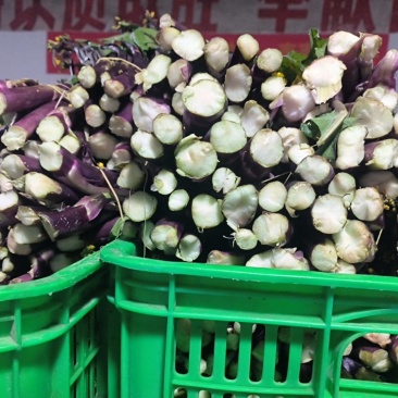 红菜苔