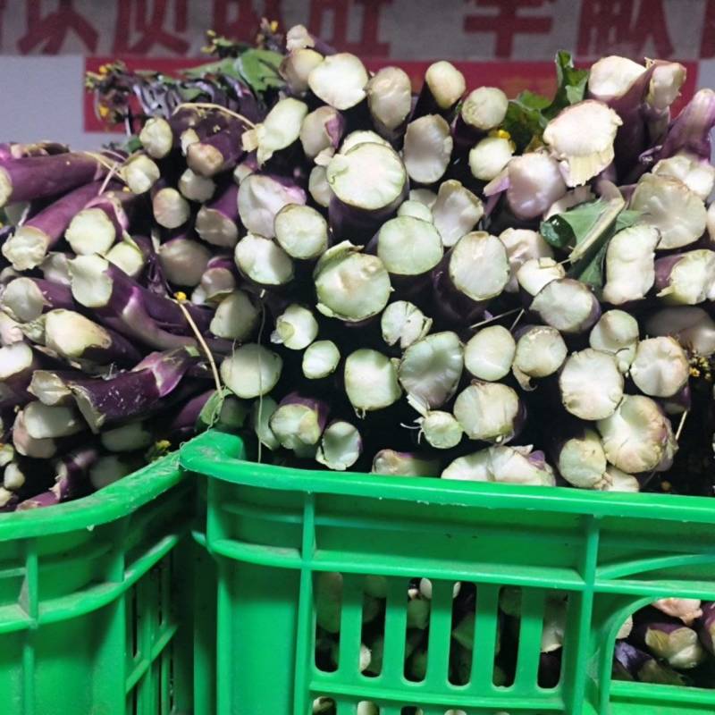 红菜苔