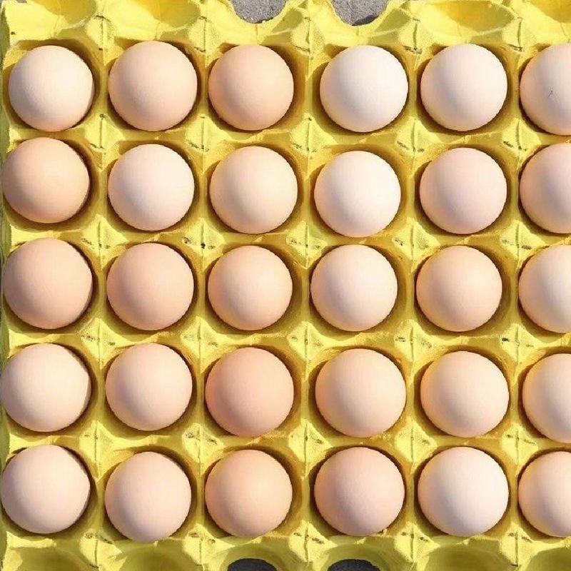 【牛商推荐】精品土鸡蛋一箱360枚产地发货欢迎来电咨询