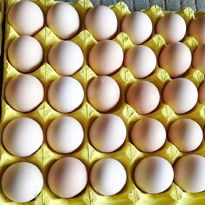 【牛商推荐】精品土鸡蛋一箱360枚产地发货欢迎来电咨询