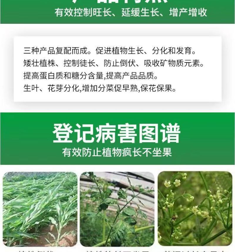 剑牌剑丰园10%烯效唑挫农药矮化剂防徒长果树植物控旺生