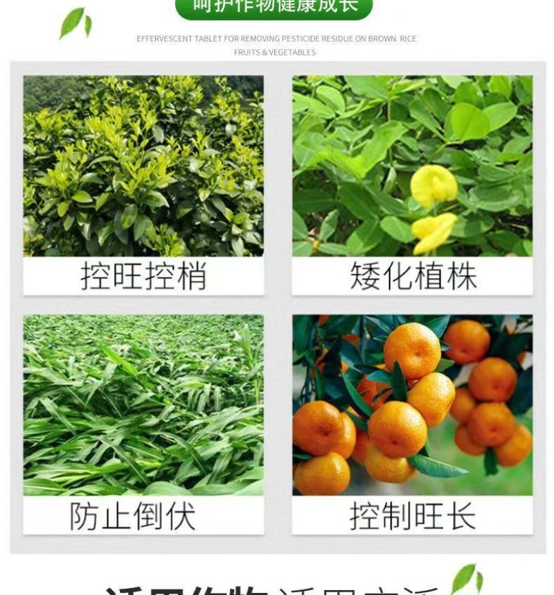 剑牌剑丰园10%烯效唑挫农药矮化剂防徒长果树植物控旺生