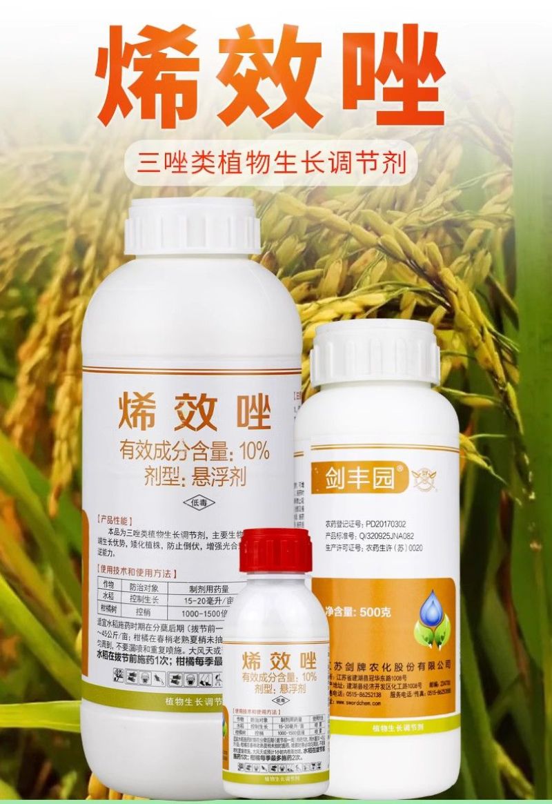 剑牌剑丰园10%烯效唑挫农药矮化剂防徒长果树植物控旺生