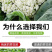 精选曲周有机花苗品种优产地直发欢迎各位老板致电咨询
