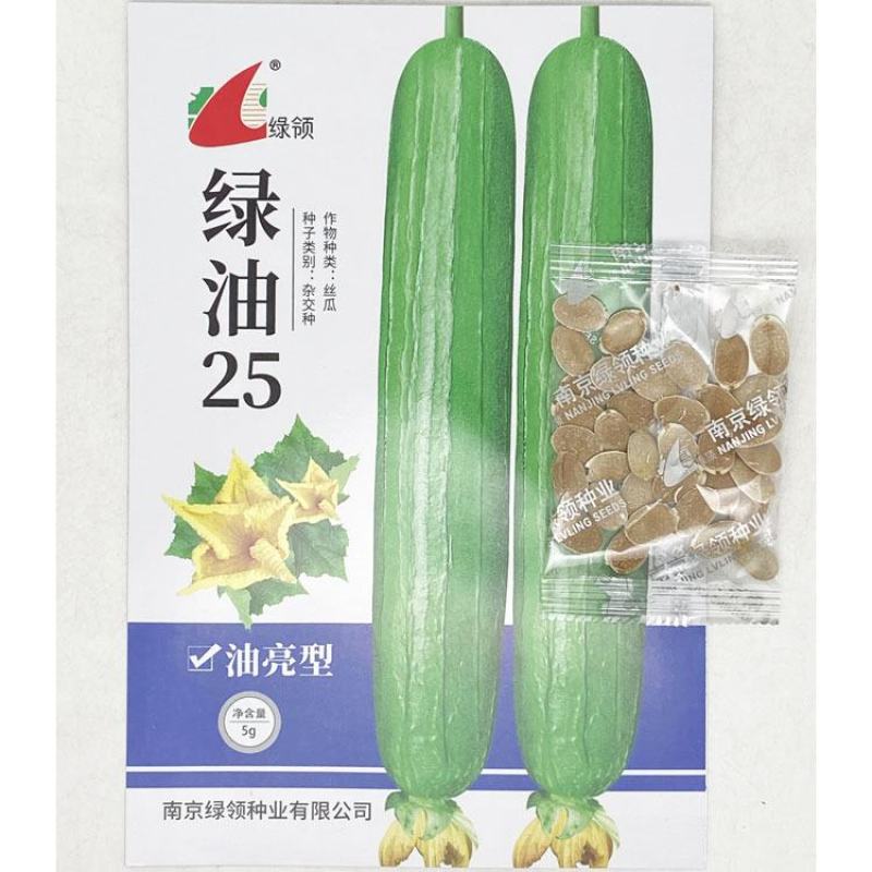绿油25绿油28油皮香丝瓜种子早熟杂交油皮丝瓜种原装发货