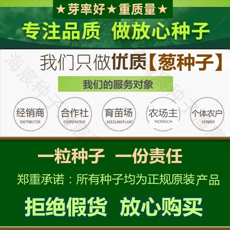 正宗山东章丘高巨白大葱种子进口铁杆钢葱白高新种子