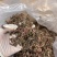 金线莲散条小苗整株无碎林下培植一手货源稳定供货