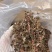 金线莲散条小苗整株无碎林下培植一手货源稳定供货