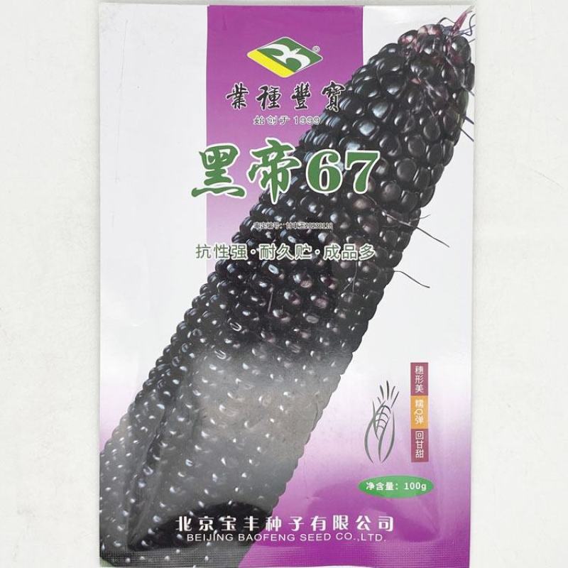 宝丰黑帝67黑宝黑紫甜糯玉米种子绿皮大棒甜味糯黑玉米种