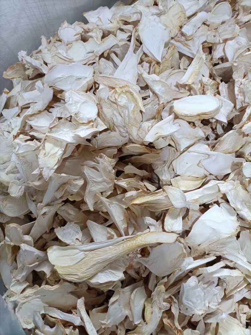 精品杏鲍菇干货，大片，中片小片，根片，颗粒常年大量现货