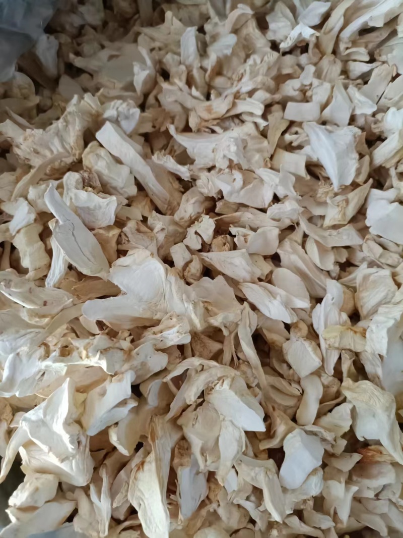 精品杏鲍菇干货，大片，中片小片，根片，颗粒常年大量现货