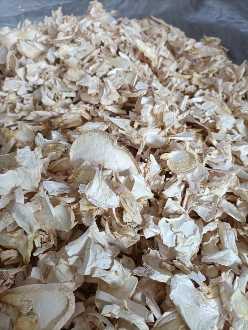 精品杏鲍菇干货，大片，中片小片，根片，颗粒常年大量现货
