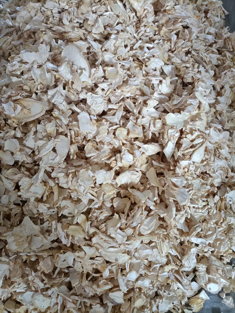 精品杏鲍菇干货，大片，中片小片，根片，颗粒常年大量现货