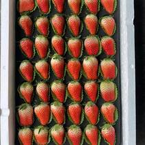 甜宝草莓代收