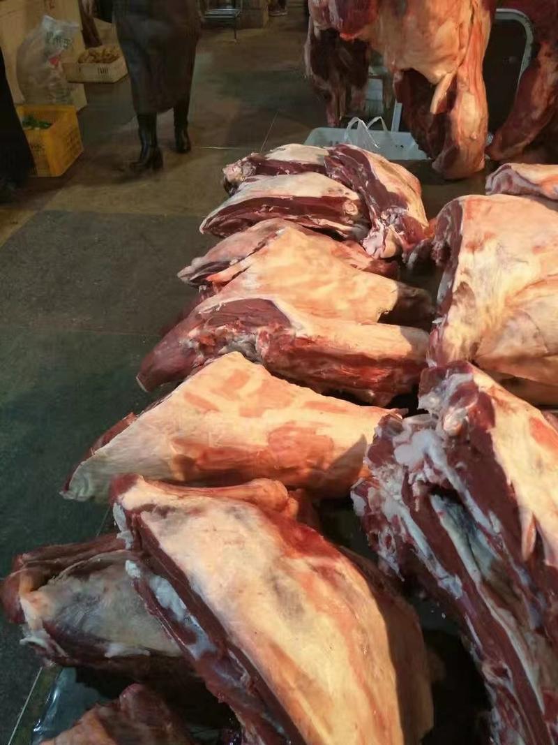宁夏盐池黄牛肉大量供应新鲜宰割肉质鲜美保质保量对接全国市
