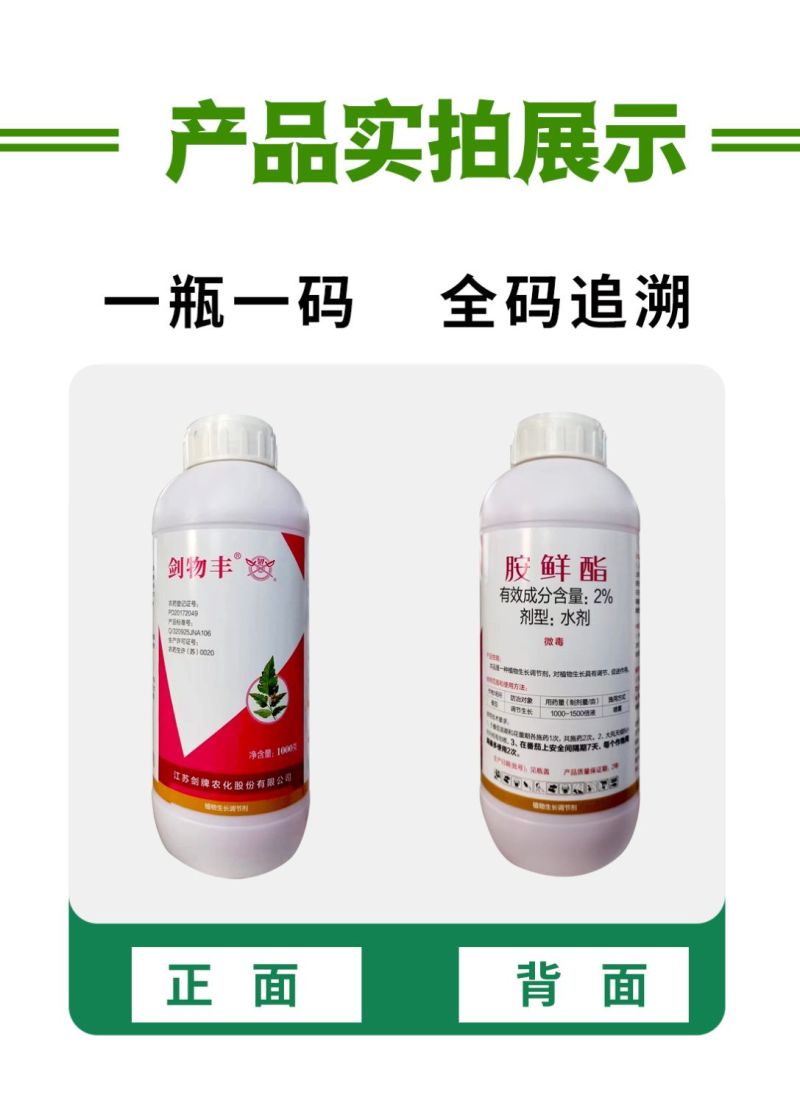 剑牌剑物丰2%胺鲜酯瓜果蔬菜调节生长剂保花保果农作物生长
