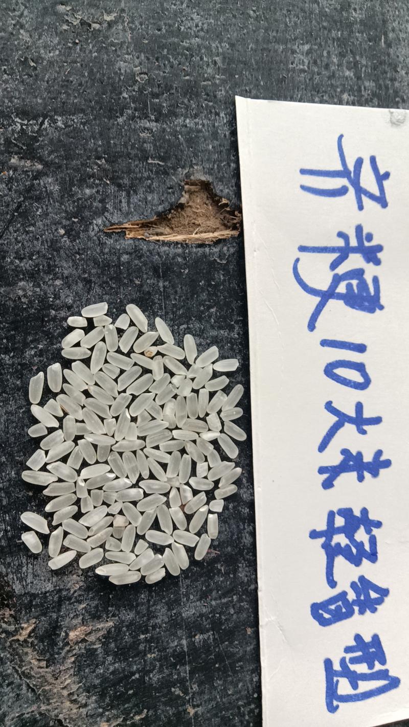 精品黑龙江大米，浓香型大米齐粳10规格多样，货源充足电联