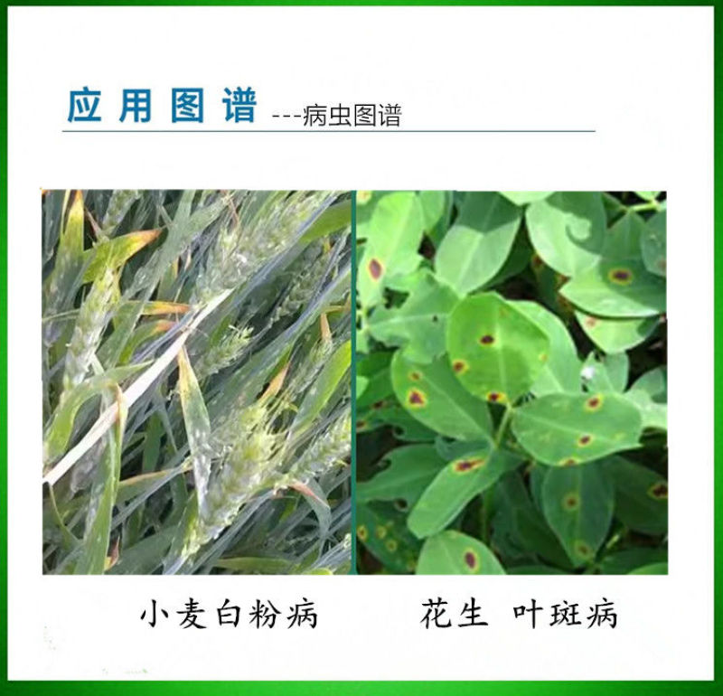 剑牌剑荣30%烯唑醇花生小麦叶斑病白粉病叶斑病专用农药