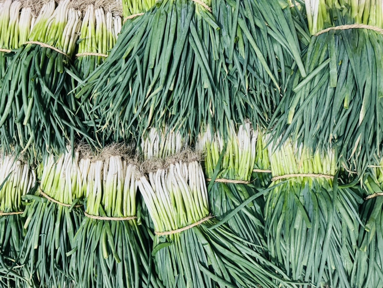 农贸市场中新鲜的大葱摊位,整齐排列,颜色鲜亮 新鲜大葱市场