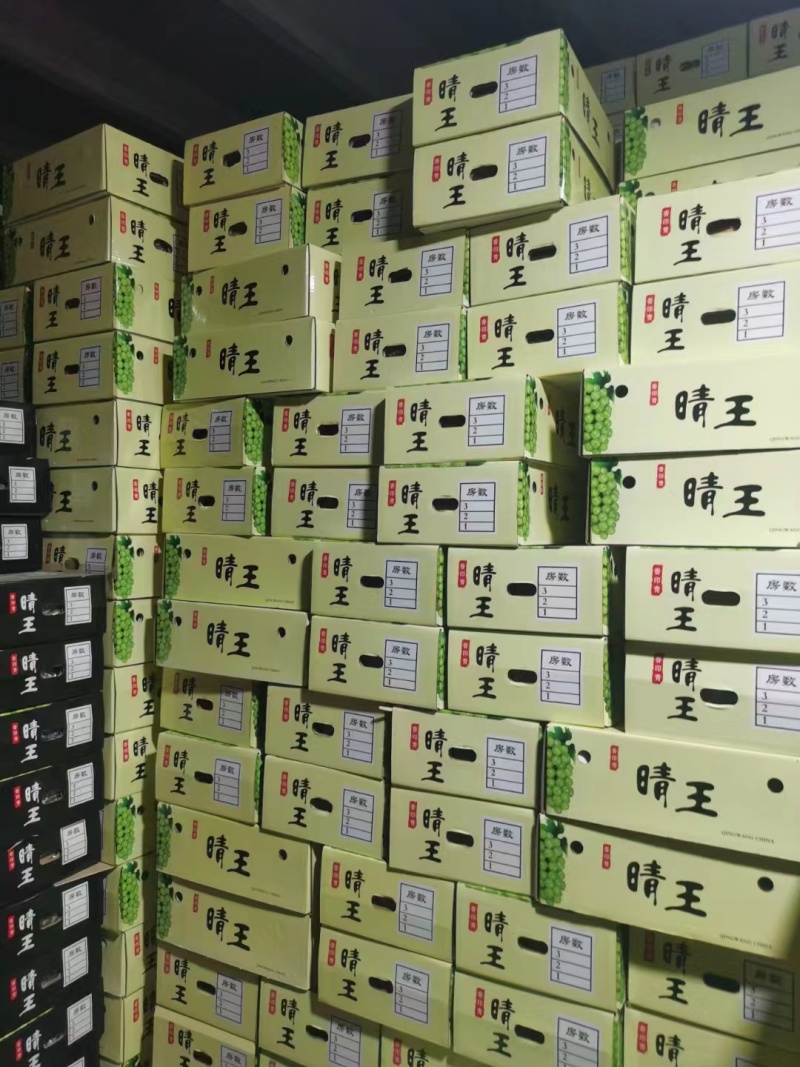 出口外贸阳光玫瑰大颗粒对接各大平台批发团购对接团长
