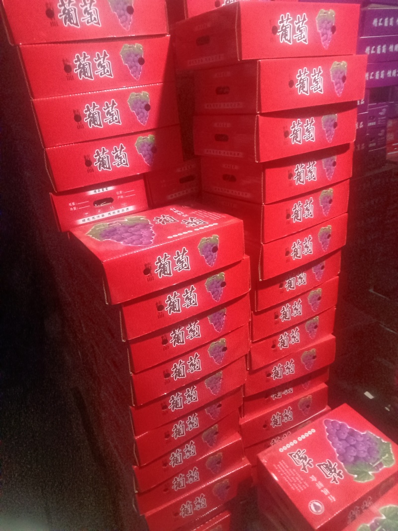出口外贸阳光玫瑰大颗粒对接各大平台批发团购对接团长