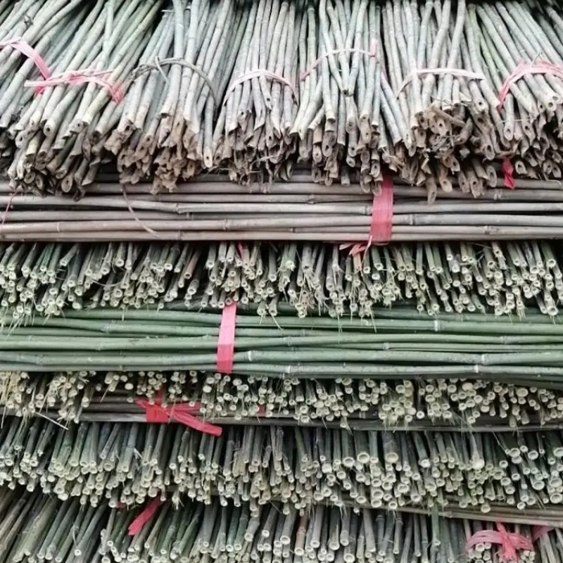 精品竹子竹竿南竹规格齐全品质保证量大从优欢迎联系