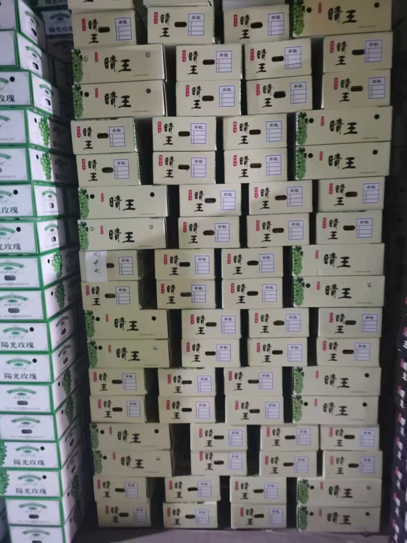 外贸阳光玫瑰冷库货青提晴王电商团购批发精品次货批发