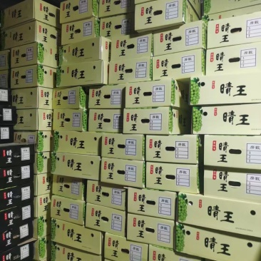 外贸阳光玫瑰冷库货青提晴王电商团购批发精品次货批发
