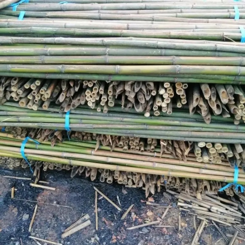 精品竹子竹竿菜架竹大棚竿粗2-3cm长2.2-3.5