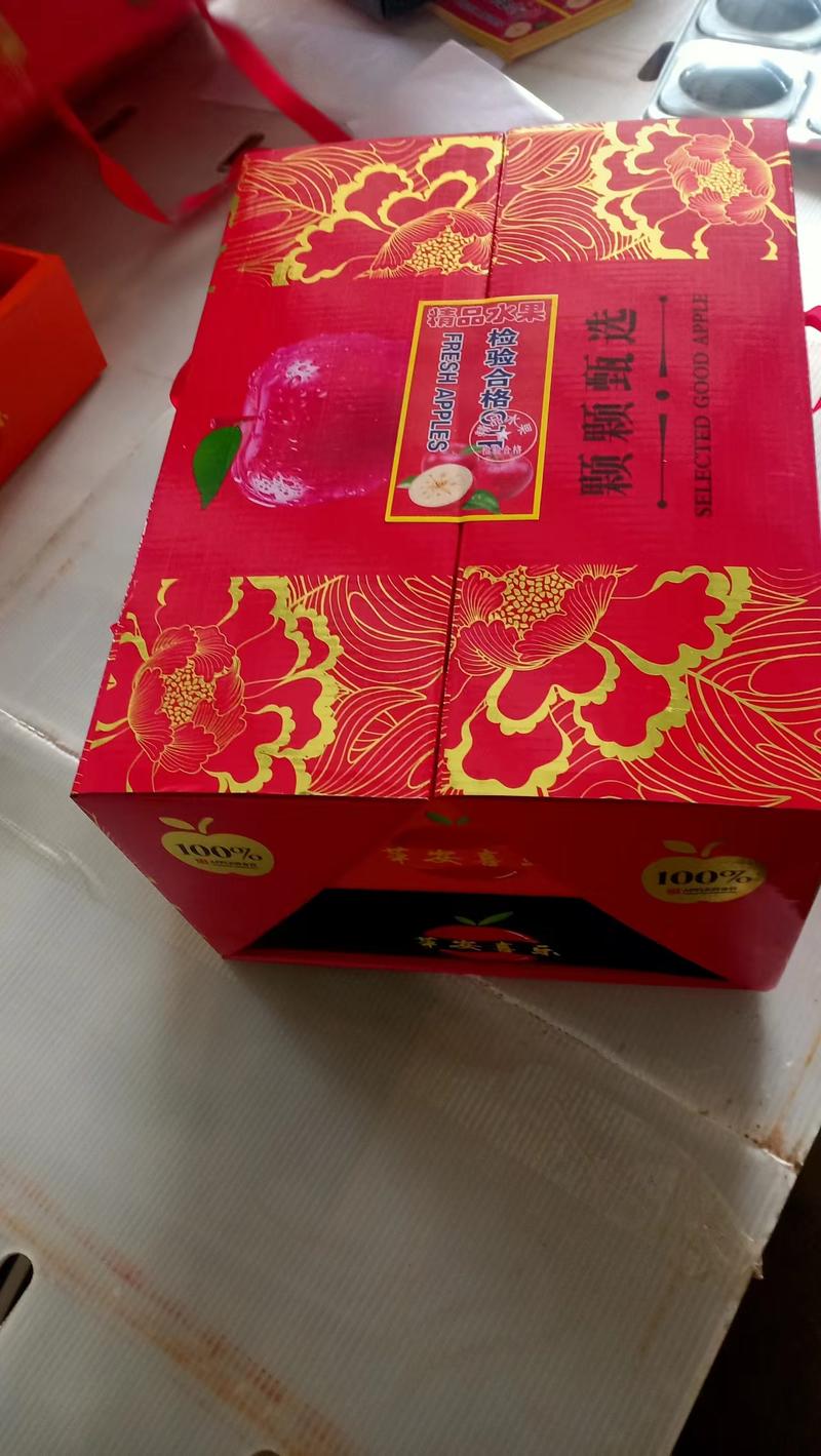 陕西省礼泉县晚熟膜袋红富士苹果冷库通货75起步不封顶