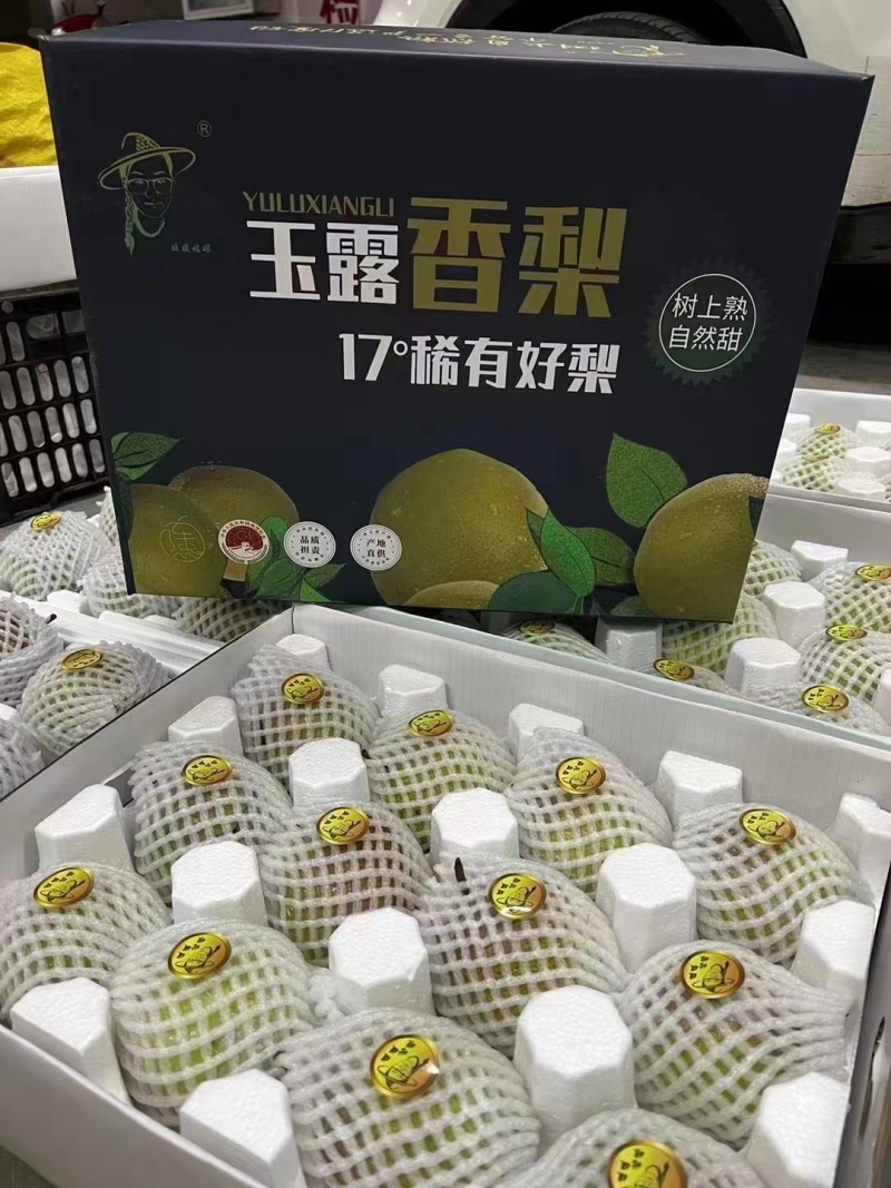 雨露香梨产地直供一手货源品质保证全国发货