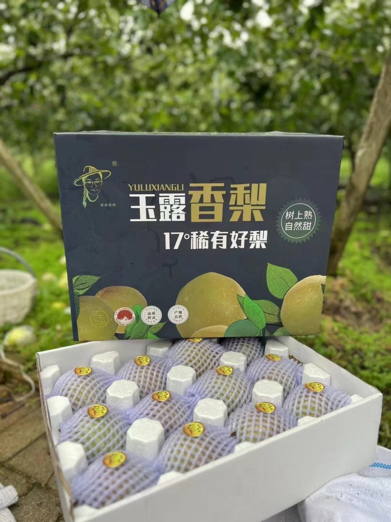 雨露香梨产地直供一手货源品质保证全国发货
