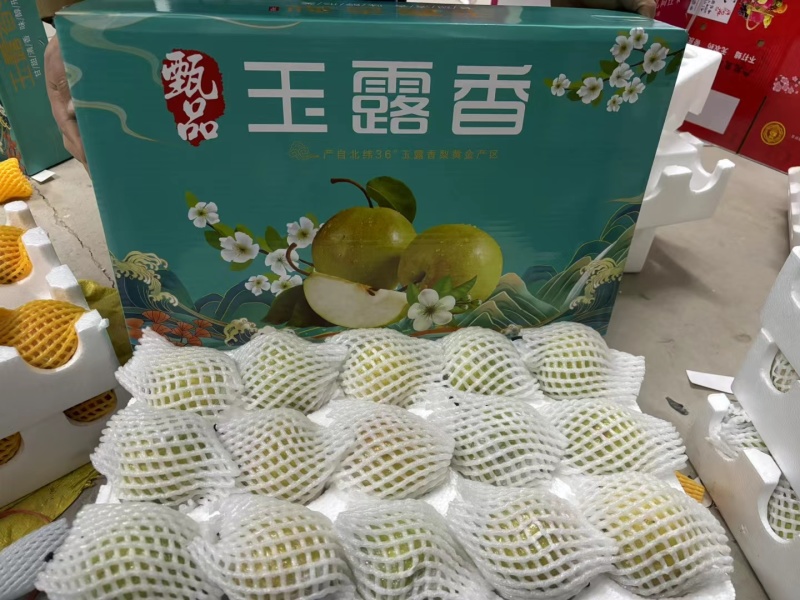 雨露香梨产地直供一手货源品质保证全国发货