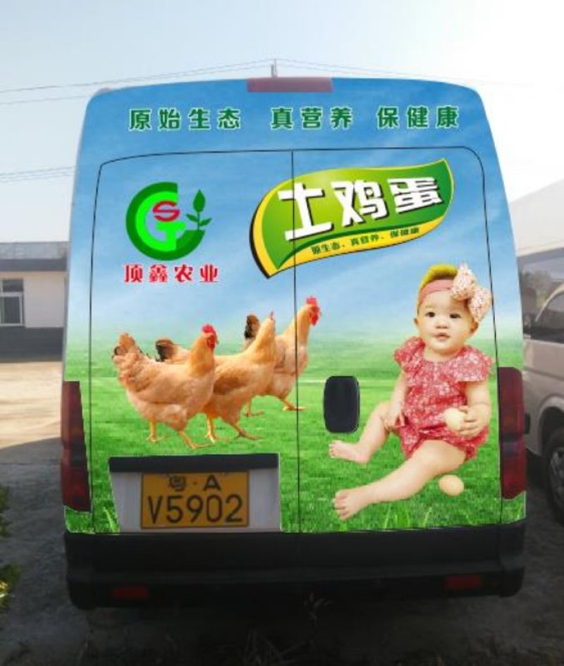 鸡蛋