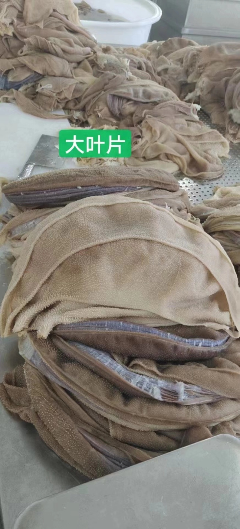 毛肚，牛肚，牛百叶大叶片，精品货源，品质保障，欢迎咨询